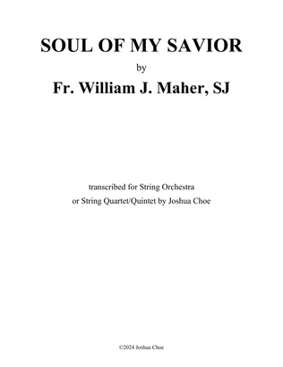 Book cover for Soul of My Savior