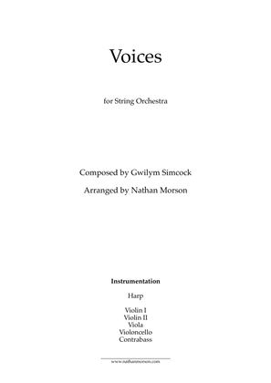 Book cover for Voices