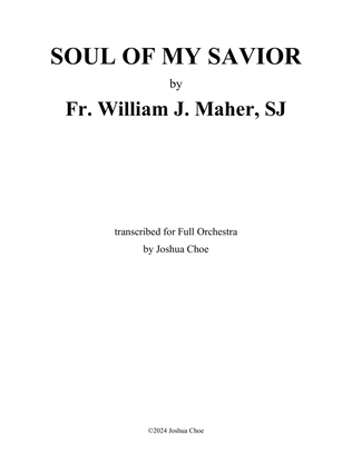 Book cover for Soul of My Savior