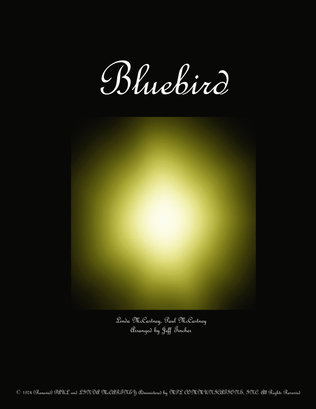 Book cover for Bluebird