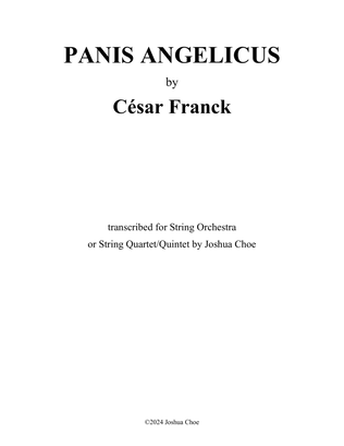 Book cover for Panis Angelicus